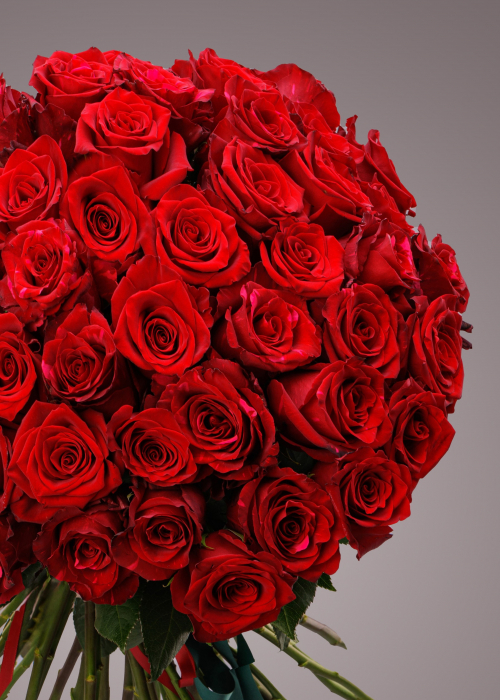 Buchet de trandafiri rosii 51 de fire [3]