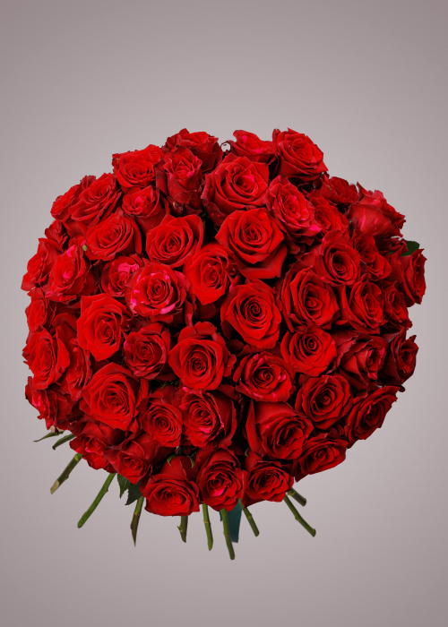 Buchet de trandafiri rosii 51 de fire [4]