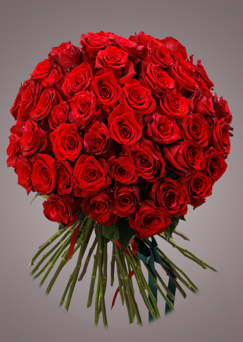 Buchet de trandafiri rosii 51 de fire [1]