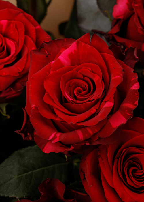 Buchet de trandafiri rosii I love you [3]