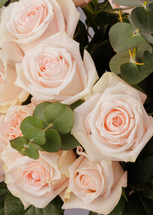 Buchet de trandafiri roz Kiss You [2]