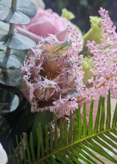 Buchet din trandafiri parfumati albi si roz si feriga Exotic Vibe [2]