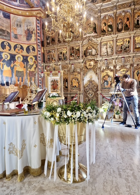 Cristelnita cu mimosa si musetel [3]
