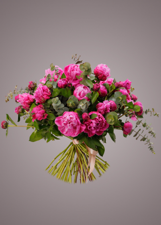 BUJORI - Buchet bujori roz si eucalipt