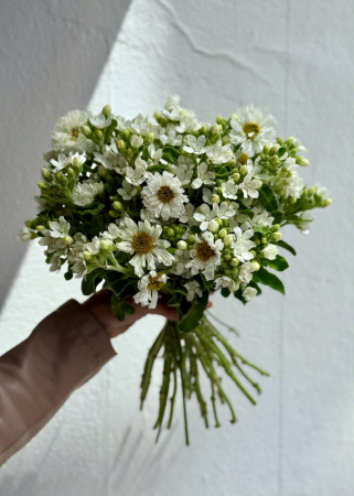 Buchet de mireasa din flori Cosmos si oxypetalum [8]