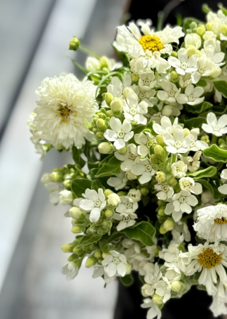 Buchet de mireasa din flori Cosmos si oxypetalum [5]