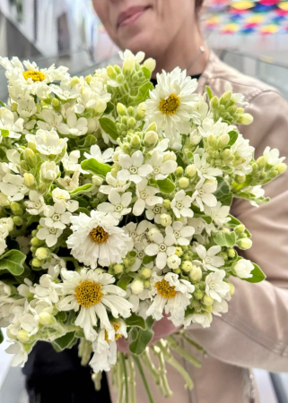 Buchet de mireasa din flori Cosmos si oxypetalum [2]