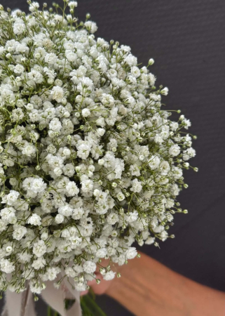 Buchet de mireasa din gypsophila alba [2]