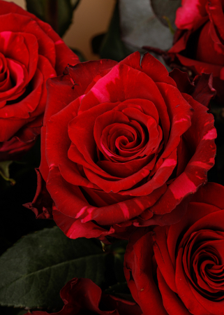 Buchet de trandafiri rosii I love you [2]