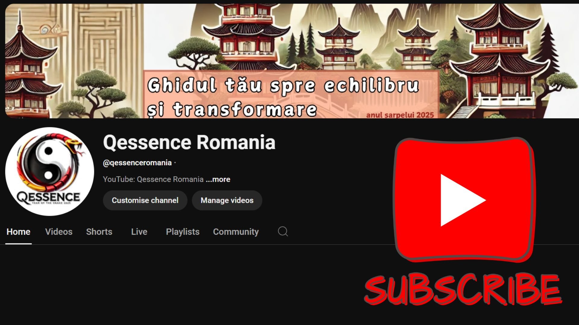 Youtube- Qessence România