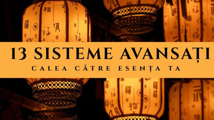 13 Sisteme- CALEA CĂTRE ESENȚA TA [1]