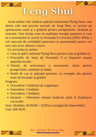 Cursuri Sisteme - Curs Fengshui - program iarnă