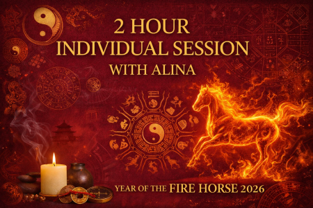 Sedințe Individuale - Ședință individuală 2h - curs privat