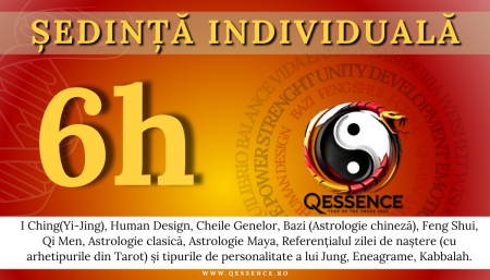 Sedințe Individuale - Sesiune Individuală 6h
