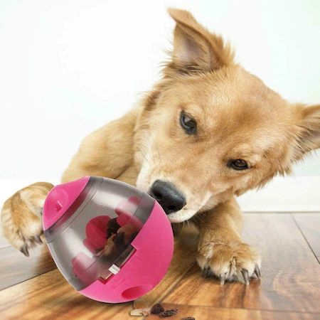 Jucarie interactiva cu eliberare lenta a mancarii pentru animale de companie [4]