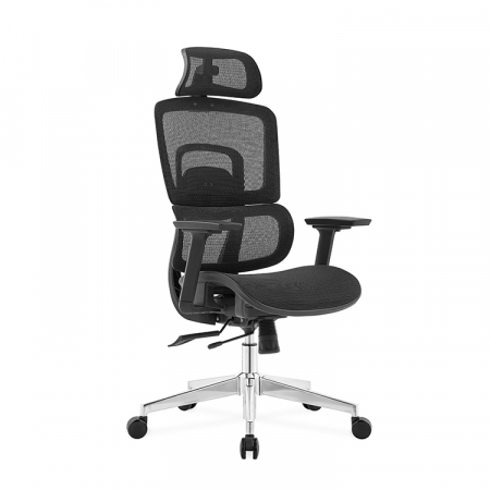 Mobilier de birou - Scaun de birou -Ergodynamic Garry - Black-Full Mesh