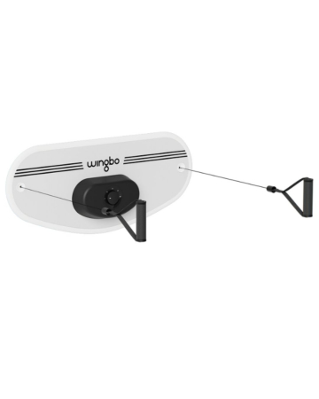 WINGBO BOARD PRIMA PLACA MULTIFUNCTIONALA DIN LUME [6]