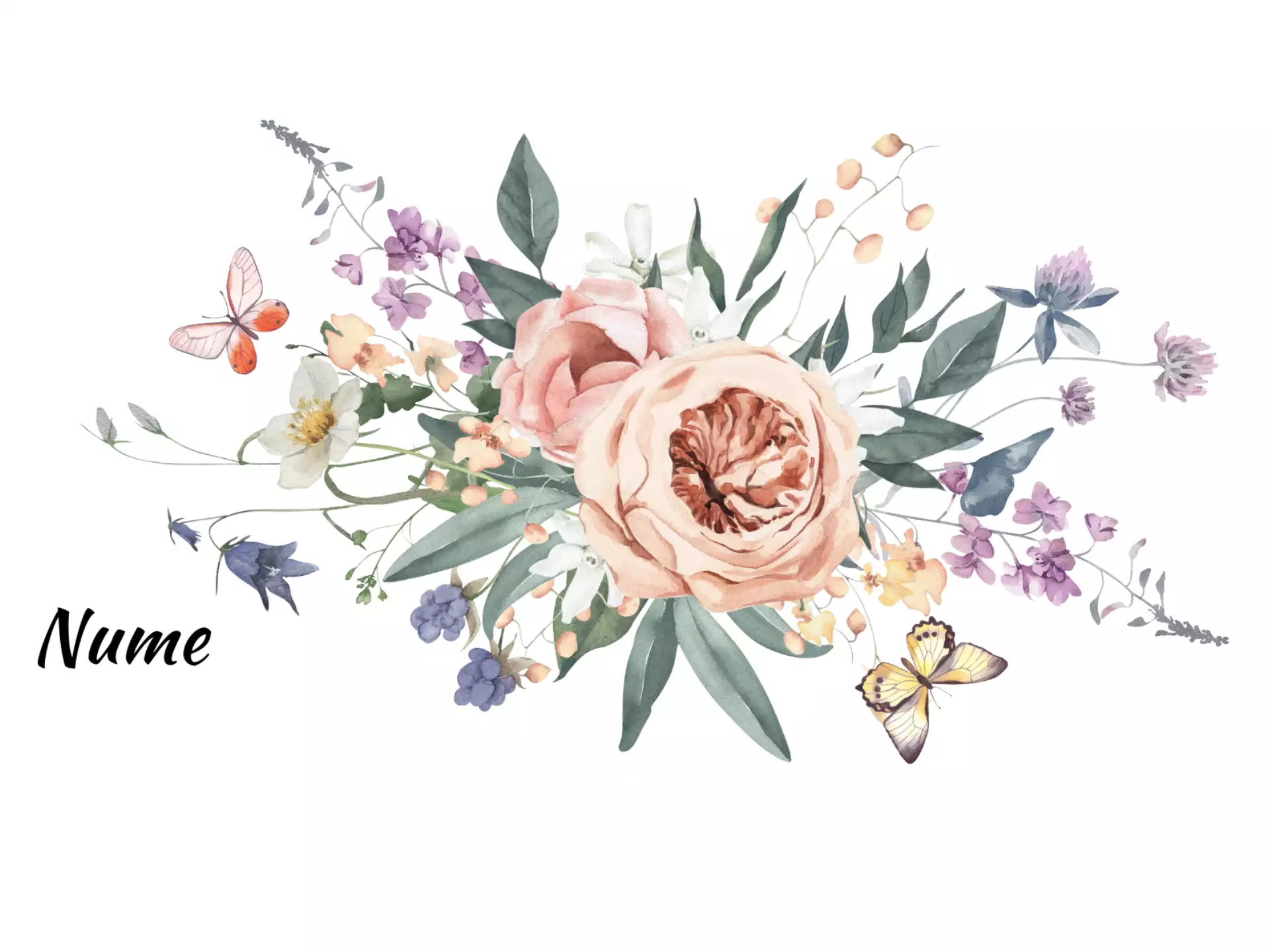 cana-flori-nume [3]