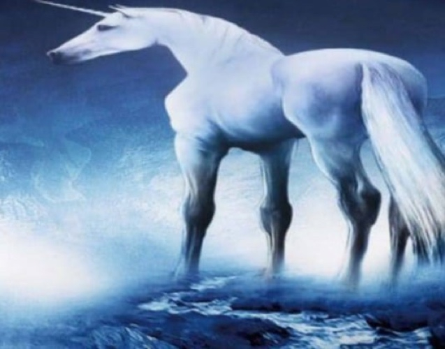 Lenjerie de Pat Bumbac Finet, Imprimeu 5D, Pat Dublu, 6 Piese - Bleumarin, Unicorni [3]