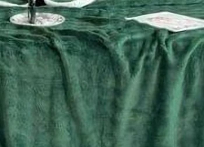 Patura Cocolino cu Bordura Alba, Pat Dublu, 200x230 cm - Verde Inchis [2]