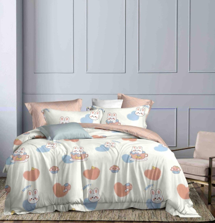 Lenjerii Pat 1 Persoana Bumbac Tip Finet - Lenjerie De Pat 1 Persoana