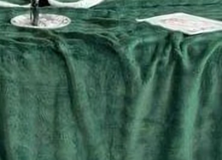 Patura Cocolino cu Bordura Alba, Pat Dublu, 200x230 cm - Verde Inchis [1]