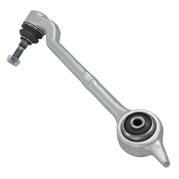 Set brate BMW 5 (E39) [2]