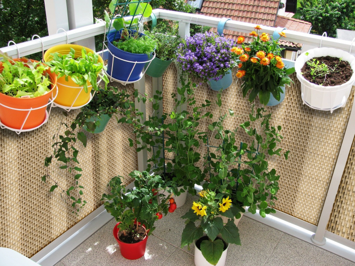 Paravan intimitate balcon, Rattan Tehnic, latime 0,9m x 1m, bej [5]