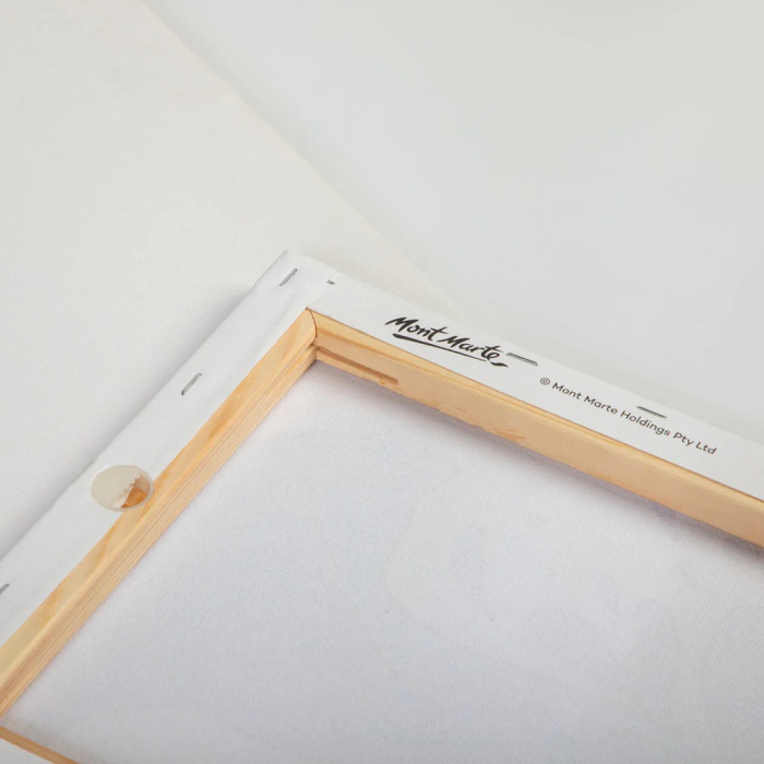 MMKC2002 Set creativ Mont Marte – Canvas cu acrilice "Dolphin" [10]