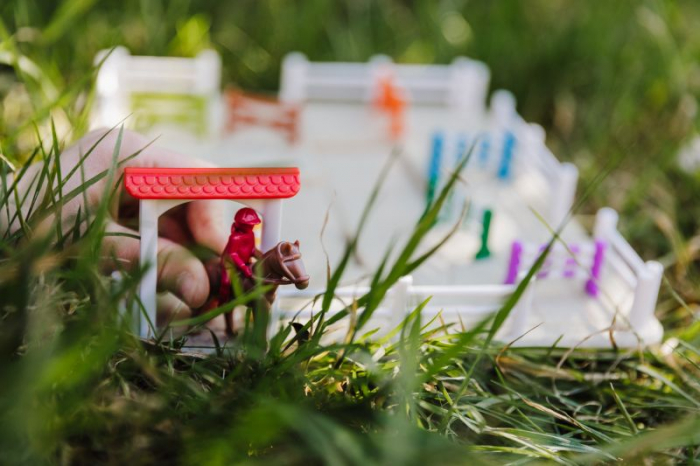 SG097 HORSE ACADEMY [4]