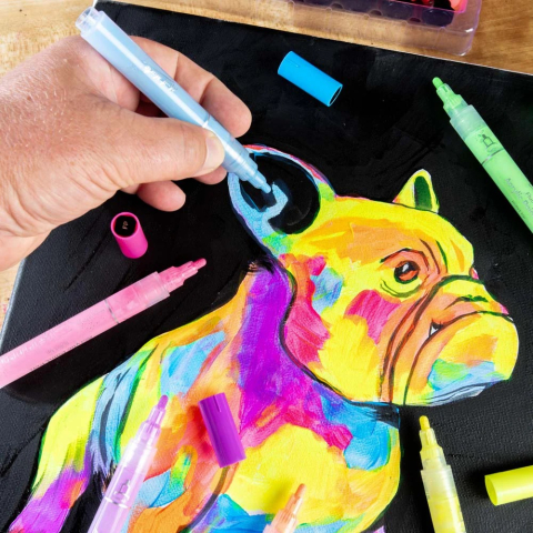 Markere acrilice Fluoro Mont Marte varf gros 6buc [5]