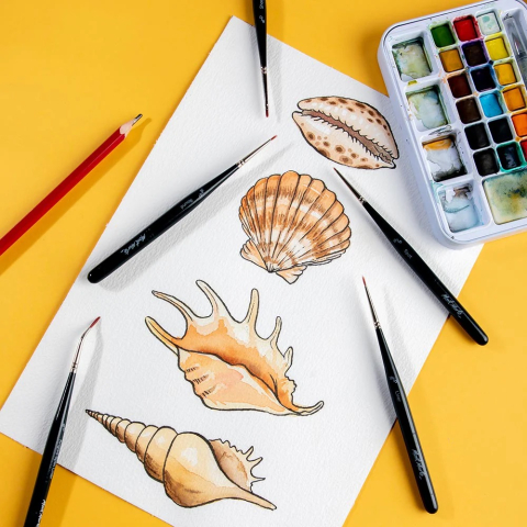 Pensule pentru detalii Mont Marte 5 buc/set [7]