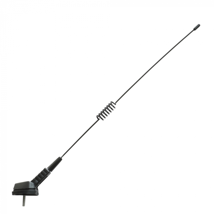 Antena Pavilion Cu Arc [4]