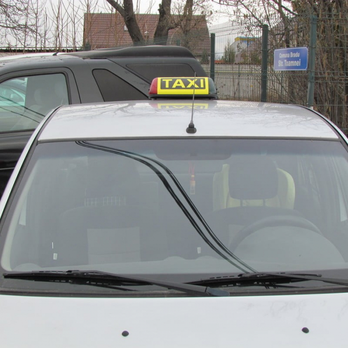 Firma TAXI TURCIA cu bec [4]