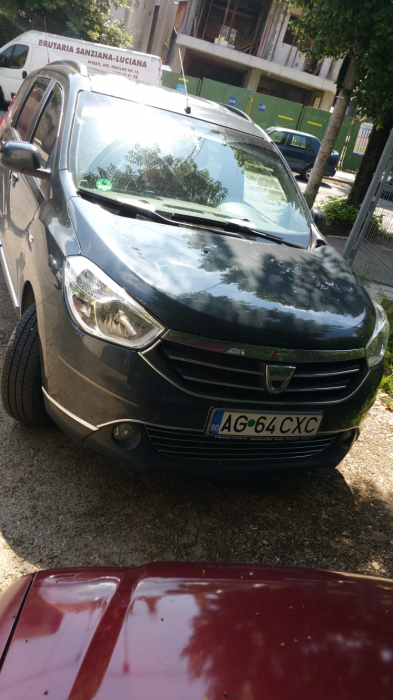 Perdele interior Dacia LODGY 2012-> [8]