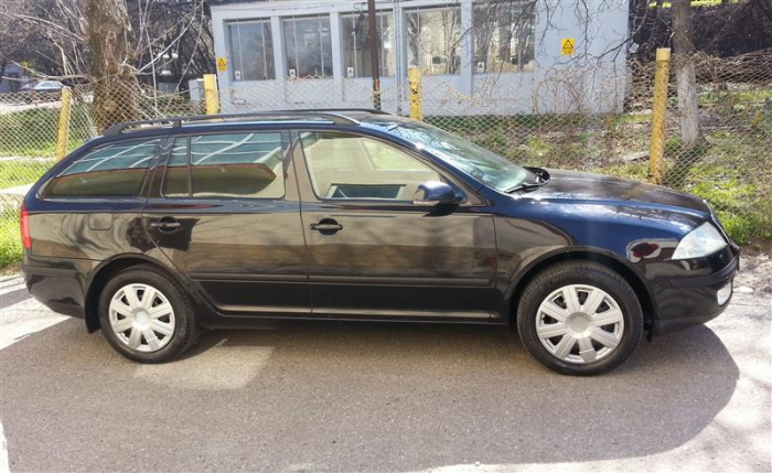 Perdele interior Skoda Octavia 2 break 2005-2013 [1]