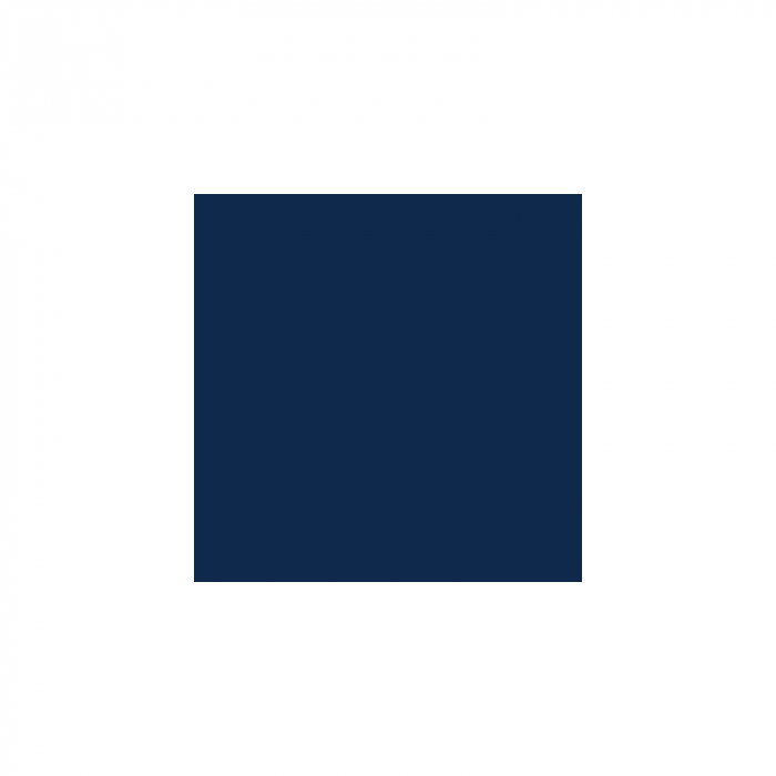 Spray vopsea Profesional CHAMPION 400ml Albastru Mat Cod: RAL 5010 [4]