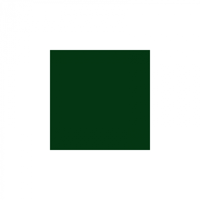 Spray vopsea Profesional CHAMPION 400ml Verde Mat Cod: RAL 6005 [4]