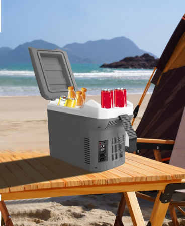 Lada frigorifica electrica pentru automobil caravana camper si altele 12V/220V - 8L [10]
