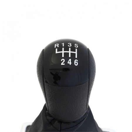 Nuca Schimbator Cu Manson Ford Fiesta VI (2005-2008) -6 Trepte [2]