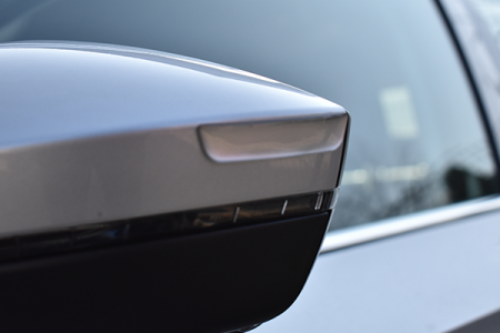 Ornament Protectie Portiera / Oglinda Argintiu [1]