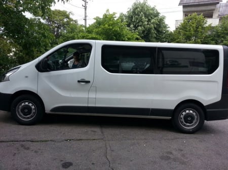 Perdele interior Renault Trafic 2014-2021 [6]
