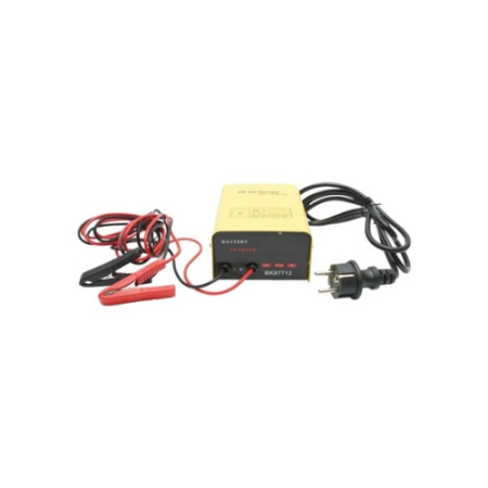 Electronice si electrice auto - Redresor auto 12V 10A pentru baterii 30-150Ah Cod: BK87712