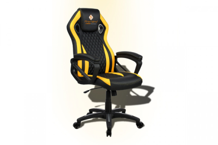 SCAUN  Birou RACING 2 [1]