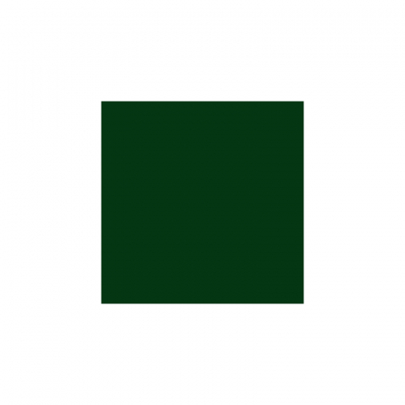 Spray vopsea Profesional CHAMPION 400ml Verde Mat Cod: RAL 6005 [3]