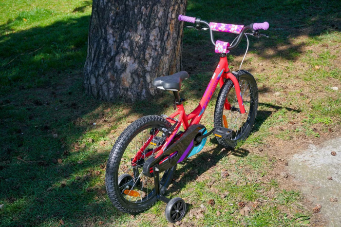 CROSS Daisy 20" [2]