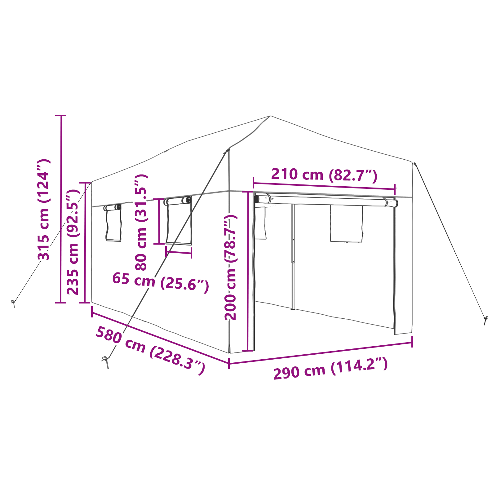 Sera walk-in cu Cadru Pop-up Verde 580x290x315 cm [10]