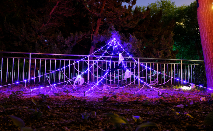 Decoratiune de Halloween 5m pânză de păianjen [11]
