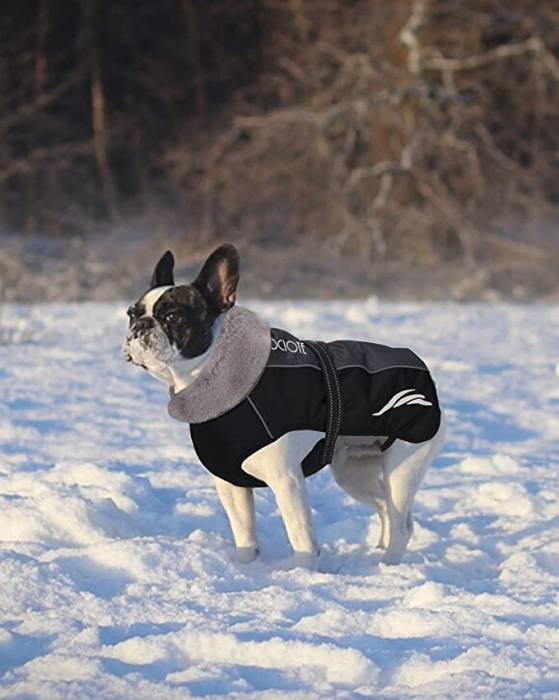 Jachetă de iarnă  pentru câini impermeabilă [5]
