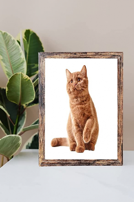 Set de 3 rame foto pătrate 8x10 din lemn MDF și plexiglas [5]